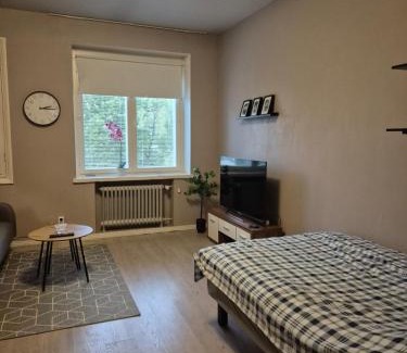 Vaasa Apartamento | Central Studio in Vaasa with Free Parking