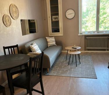 Vaasa Apartamento | Central Studio in Vaasa with Free Parking
