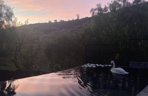 Malibu Casa | Central Vineyard Heated Pool Hot Tub BBQ Gazebos and Swings (Pet+Child Friendly)