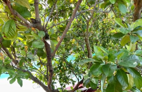 Ciudad de Belice Casa | CentralCity “Paradise” Private Mini Resort & Pool