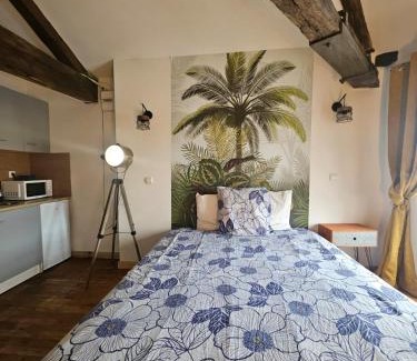 Confolens Apartamento | Centre Confolens studios rénovés