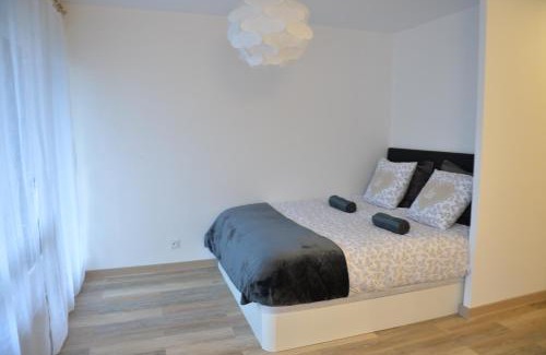Thonon-les-Bains Apartamento | Centre-ville à vos pieds