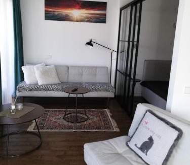 Birstonas Apartamento | Centro apartamentai