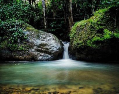 Rivas Hostal | Centro Ecológico Montaña Verde
