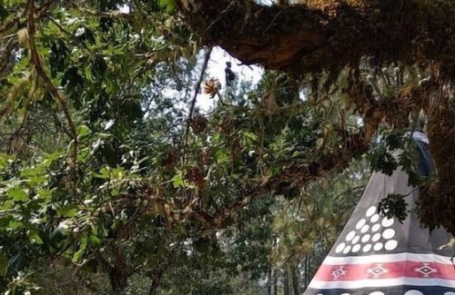 Cave Junction Casa | Ceremonial Tipi - 20' - Sleeps up to 6
