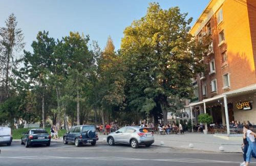 Galati Apartamento | CERONAV CityCenter - DisneyTV!