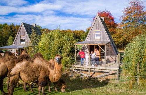 Hermival-les-Vaux Otro | Cerza Safari Lodge