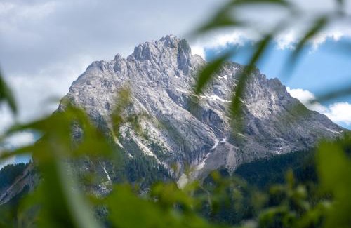 Alba Apartamento | Cesa Leo