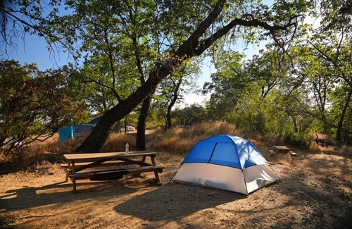 Pinehurst Alquiler De RV | CG37 Campsite / Shower - Kings Canyon & Sequoia NP