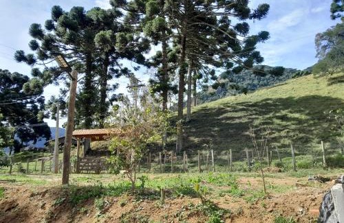 Sao Bento do Sapucai Casa | Chácara Araucaria