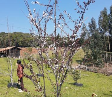 Campo Alegre Casa | CHÁCARA QUEDINHA D'ÁGUA
