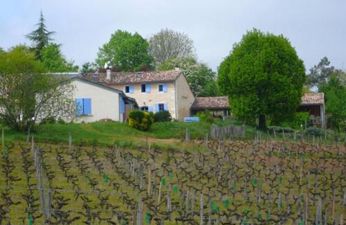 Salleboeuf Apartamento | Château Régaldo-Saint Blancard