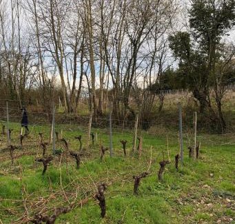 Salleboeuf Apartamento | Château Régaldo-Saint Blancard