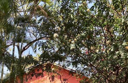 Sao Pedro Casa | Chacará with swimming pool, soccer field, orchard and barbecue