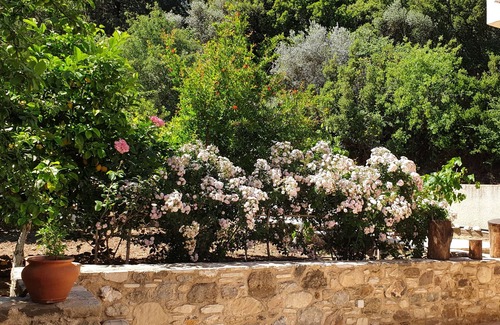 Kos Casa | Chaihoutes stone House into Olive farm in Zia
