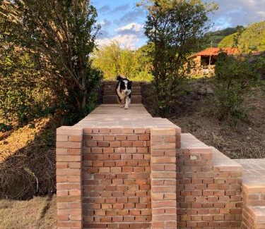 Socorro Chalet De Esquí | Chalé Alto da Montanha
