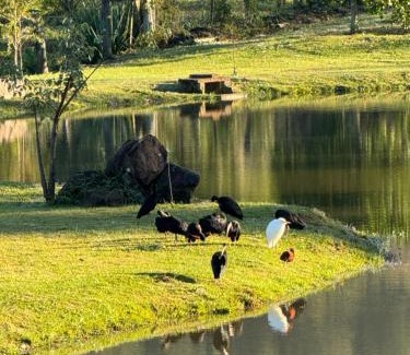 Rolante Casa | Chalé Celeiro em frente ao lago