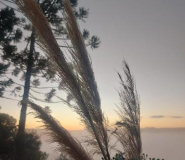 Bom Jardim da Serra Casa | Chalé com banheira de hidromassagem e mesa de sinuca