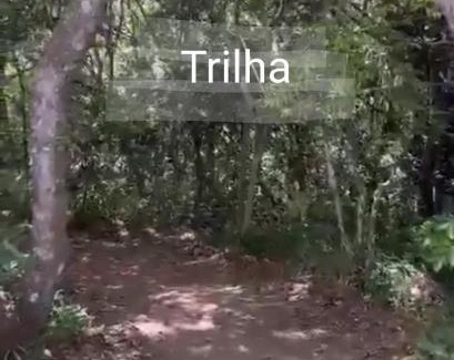 Bananeiras Casa | Chalé Estação dos Sonhos