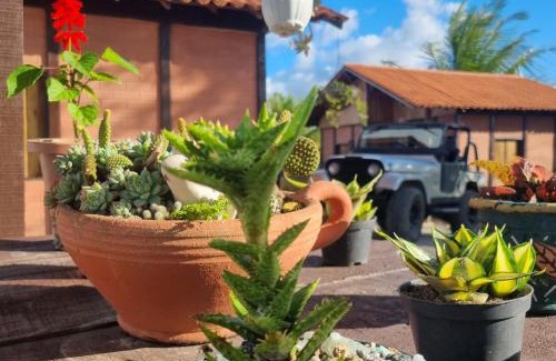 Gravata Chalet De Esquí | Chalé Raiz da Serra