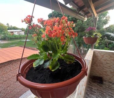 Acu da Torre Apartamento | Chalés da Poliana