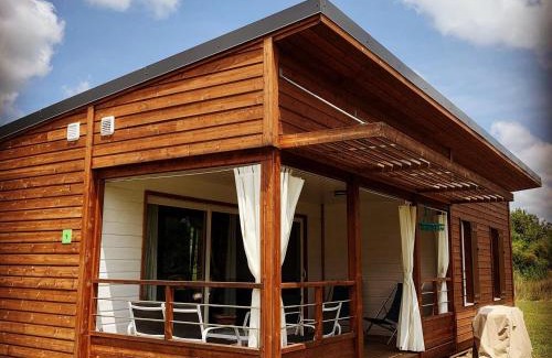 Tosse Cabina | Chalet 3 chambres en Bois dans les landes n37