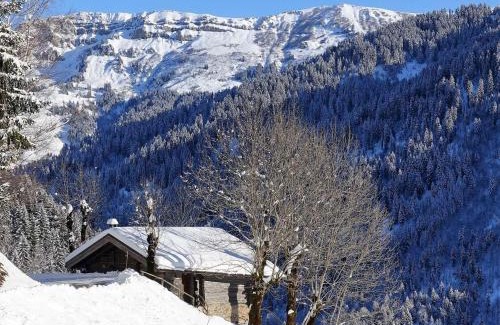 Beaufort Chalet De Esquí | Chalet 3 pièces, 6 pers, 2 km des pistes, plein sud, internet - FR-1-342-158