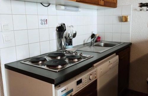 La Joue du Loup Chalet De Esquí | Chalet 3 pièces, 8 pers, cuisine équipée, TV, parking - FR-1-504-679