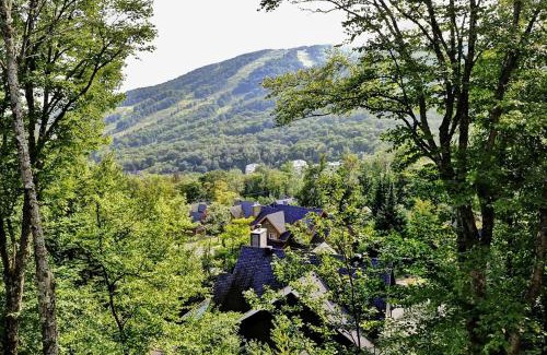 Stoneham Chalet De Esquí | Chalet 9A Chemin Blanc by Les Chalets Alpins