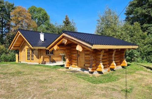 Bad Brambach Chalet De Esquí | Chalet am See