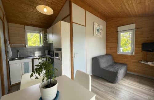 Pierrefitte-sur-Loire Casa | Chalet au bord de l'eau, terrasse privée, pêche, baignade, nature et détente, animaux acceptés - FR-1-489-359