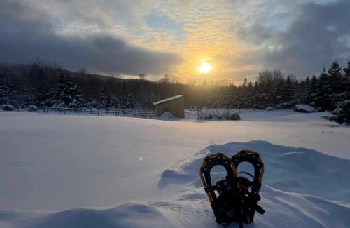 Notre-Dame-Auxiliatrice-de-Buckland Chalet De Esquí | Chalet Beausite