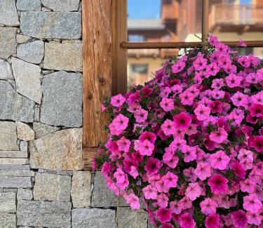 Livigno Apartamento | Chalet Bellavista