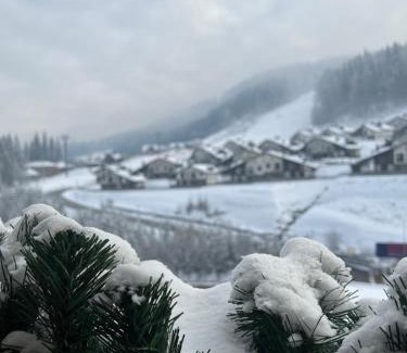 Palyanytsya Hotel | Chalet Blanc