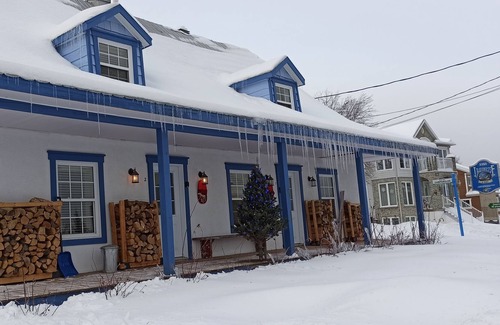 Saint Ferreol les Neiges Chalet De Esquí | CHALET CLOSE TO MONT SAINTE ANNE (BECASSINE)