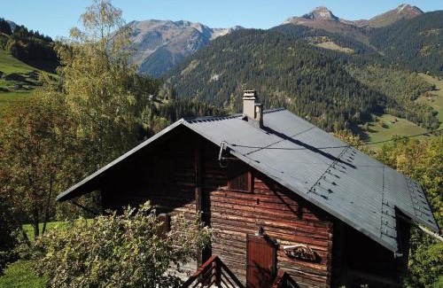 Beaufort Chalet De Esquí | Chalet chaleureux pour 10 personnes avec cheminée et internet, proche des pistes - FR-1-342-224