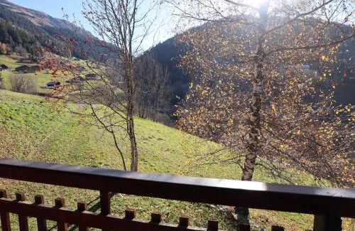 Beaufort Chalet De Esquí | Chalet chaleureux pour 10 personnes avec cheminée et internet, proche des pistes - FR-1-342-224