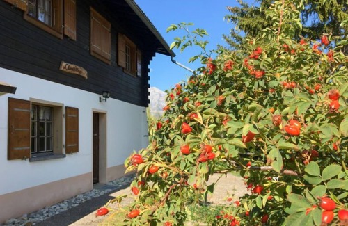 Mayens-de-Riddes Casa | Casa de vacaciones Chante Neige en La Tzoumaz - 8 personas, 3 dormitorios