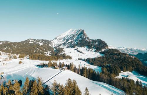 Amden Casa | Chalet Chapfwald