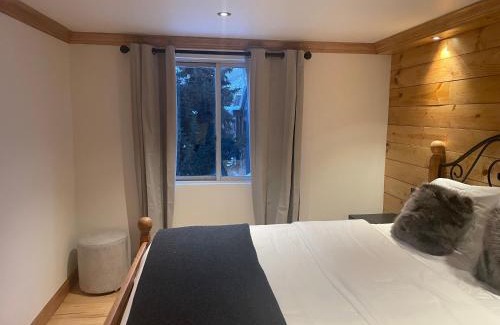 Aspen Apartamento | Chalet Chic 2BR plus Queen Sleeper Sofa