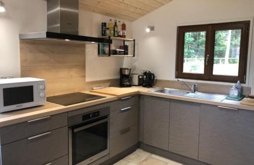 Xonrupt-Longemer Chalet De Esquí | Chalet CHLOE - wifi, BBQ, parking