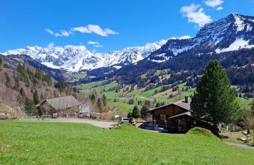 Nesslau-Krummenau Apartamento | Chalet Chnorz Hosted