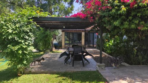 Chiclana de la Frontera Casa | Chalet con piscina privada, natural y acogedor
