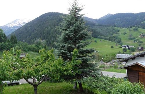 Beaufort Chalet De Esquí | Chalet cosy 3-4 pers, idéalement situé, à 500m des pistes et 100m des commerces - FR-1-342-220