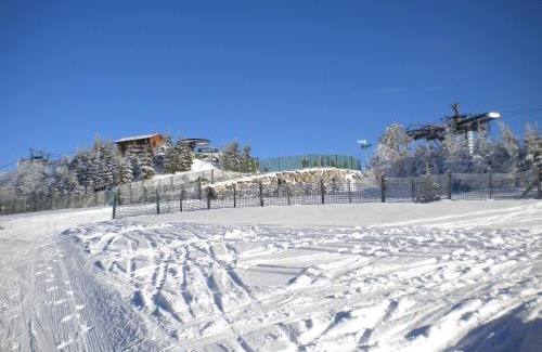 Plainfaing Casa | Chalet cosy proche de Gérardmer et Colmar - Nature, WIFI, 2 chambres, terrasse, garage - FR-1-589-306