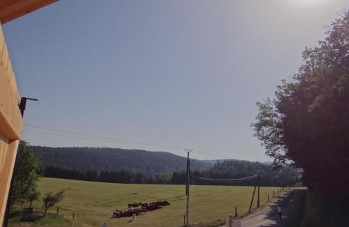 Girmont-Val-d'Ajol Casa | Chalet des 4 Vents: Nature et Activités Vosges - FR-1-589-815