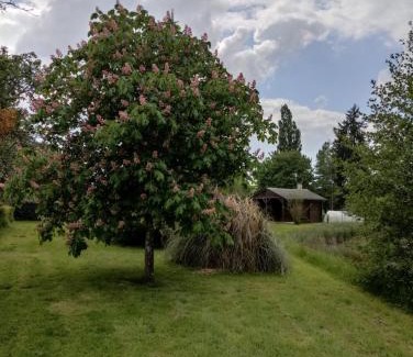 Saints-en-Puisaye Chalet De Esquí | Chalet des Prés de la Fontaine