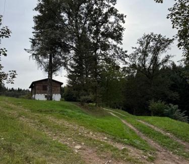 Entre-deux-Eaux Chalet De Esquí | Chalet en pleine nature