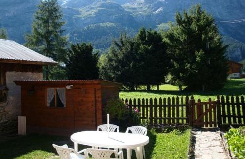 Pralognan-la-Vanoise Chalet De Esquí | Chalet ensoleillé 3 pièces, 6 pers, jardinet, proche commerces et téléphérique, Pralognan-la-Vanoise. - FR-1-464-8