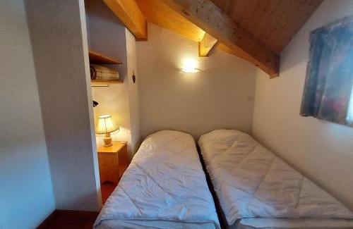 Plagne Soleil Casa | Chalet ensoleillé sur pistes, 5 chambres, animaux admis - FR-1-351-82